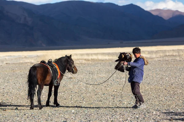 Sagsay Mongolia Września 2017 Hunter Złotego Orła Podczas Polowania Zająca — Zdjęcie stockowe