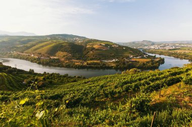 Douro nehir ve üzüm bağları vardır tepelerde Douro Valley, Portekiz