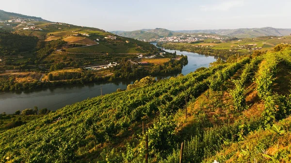 杜罗河河的看法 并且葡萄园在山在杜罗河谷 葡萄牙 — 图库照片