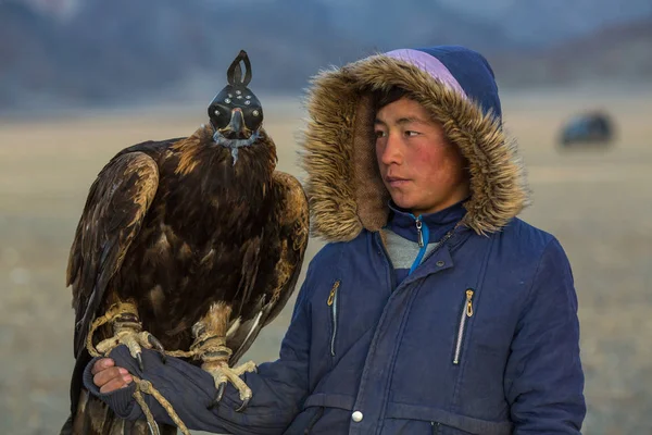 Sagsay Mongolia Settembre 2017 Golden Eagle Hunter Mentre Caccia Alla — Foto Stock