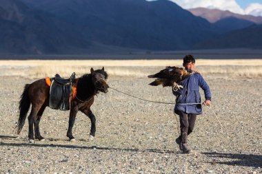 Sagsay, Moğolistan - 28 Eylül 2017: Altın Kartal avcı ise bir Altın Kartallar kollarını içinde çöl Dağ Batı Moğolistan üzerinde tutarak tavşan için avcılık.