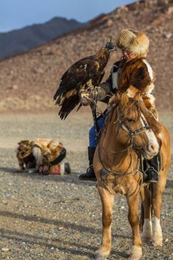 Sagsay, Moğolistan - 28 Eylül 2017: Altın Kartal avcı kuşları ile tavşan içinde çöl Dağ Batı Moğolistan için avcılık genç kızı öğretir..