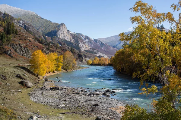 Rivière Katun Dans Les Montagnes Altaï Russie — Photo