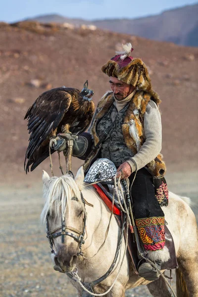 Sagsay Mongolia Setembro 2017 Golden Eagle Hunter Enquanto Caça Lebre — Fotografia de Stock