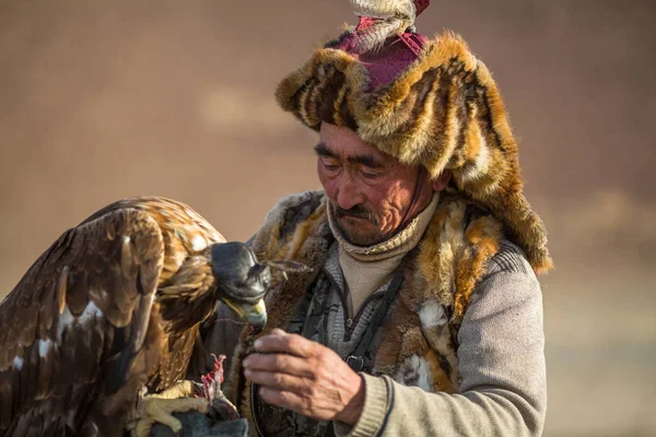 Sagsay Moğolistan Eylül 2017 Altın Kartal Avcı Ise Bir Altın — Stok fotoğraf