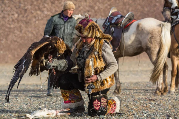 Сагсай Монголия Сентября 2017 Года Охотник Беркута Время Охоты Зайца — стоковое фото
