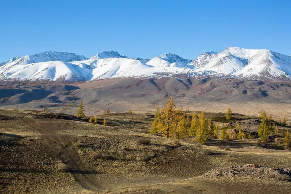 Altay Dağları Altay Cumhuriyeti Rusya Nın Manzaralar — Stok fotoğraf