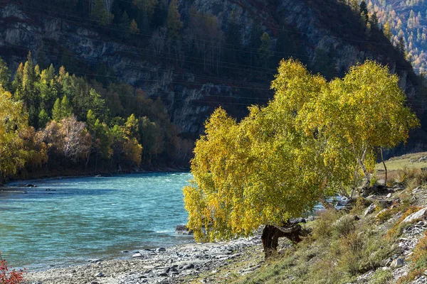 Vista Rio Chuya República Altai Rússia — Fotografia de Stock
