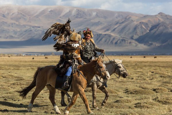 SAGSAY, MONGOLIA - SEP 28, 2017: Eagle Hunters traditional clothing, while hunting to the hare holding a golden eagles on his arms in desert mountain of Western Mongolia.