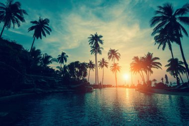 Gün batımı sırasında kontrast palmiye ağaçları ile tropikal deniz plaj.