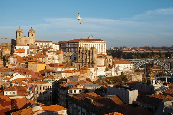 포르투 포르투갈의 — 스톡 사진