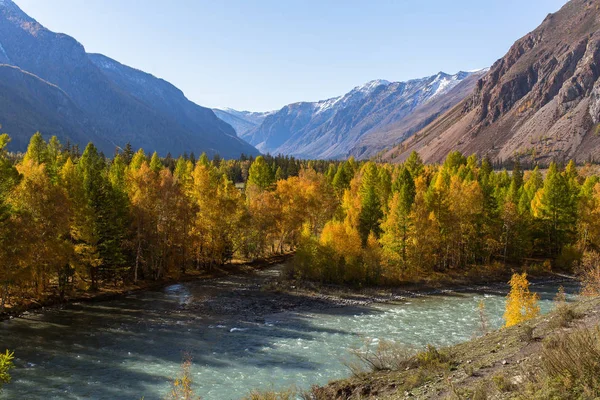 Vue Rivière Katun Dans Les Montagnes Altaï Russie — Photo