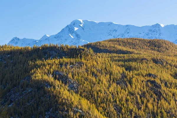 Vista Las Montañas Altai Rusia —  Fotos de Stock