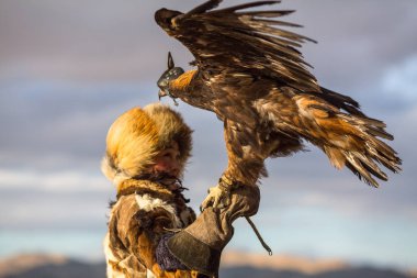 Sagsay, Moğolistan - 28 Eylül 2017: Genç kazak kartal avcı (Berkutchi kadın) ATI ise bir Altın Kartallar ile tavşan Bayan-Olgii Aymağı dağlarında kolları üzerinde avcılık ile. 