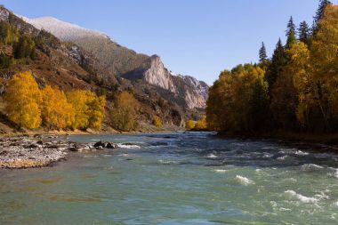 Katun nehir, Altay Cumhuriyeti, Rusya Federasyonu.