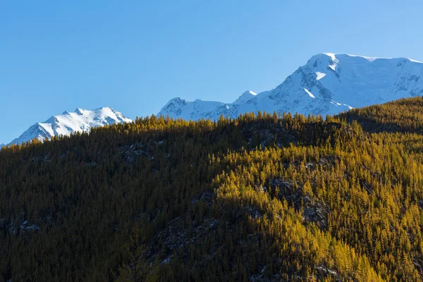 Montañas República Altai Rusia —  Fotos de Stock