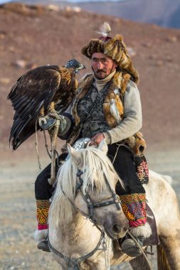 Sagsay, Moğolistan - 28 Eylül 2017: ATI ise bir Altın Kartallar ile tavşan Bayan-Olgii Aymağı dağlarında kolları üzerinde avcılık kazak kartal Hunter (Berkutchi). 