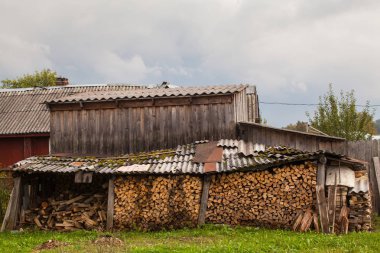 Kırsal manzara modunda Leningrad region, Rusya Federasyonu.