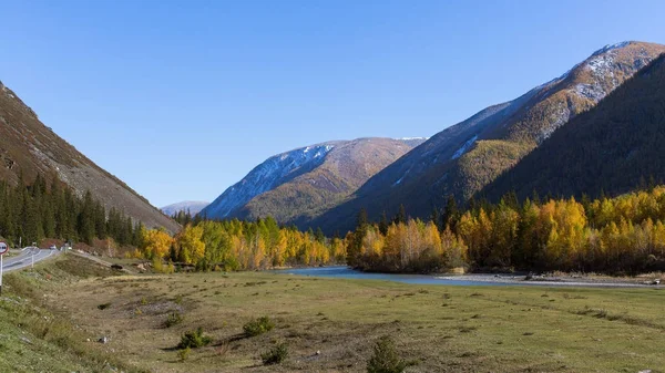 Chuya Ποτάμι Και Φθινόπωρο Δάσος Στην Δημοκρατία Των Αλτάι Ρωσία — Φωτογραφία Αρχείου