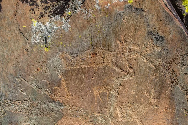 Petroglyphs (ancient rock paintings) in the Altai Mountains, Russia.