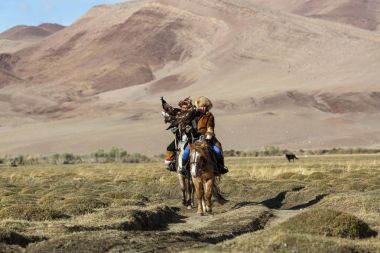 Sagsay, Moğolistan - 28 Eylül 2017: Kartal avcı kuşları ile tavşan içinde çöl Dağ Batı Moğolistan için avcılık genç kızı öğretir..