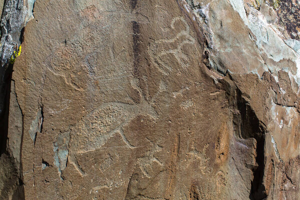 Петроглифы (древние наскальные рисунки) в горах Алтая, Россия
.