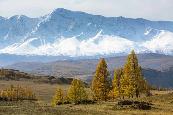 Uitzicht Besneeuwde Berg Noord Chuya Ridge Altaj Rusland — Stockfoto