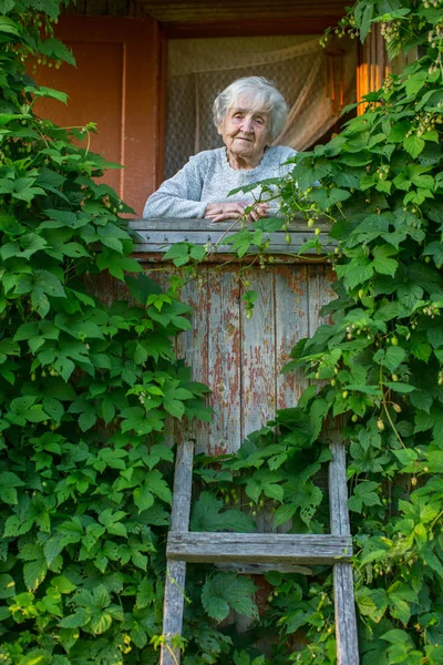 Mujer Mayor Porche Cubierta Vegetación Casa Rural —  Fotos de Stock