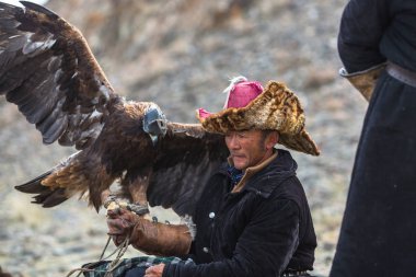 Bayan Ulgii, Moğolistan-Eyl 30, 2017: Kartal avcı ise dağların Batı Moğolistan'da bir altın kartal tutan tavşan için avcılık geleneksel kıyafetleri.