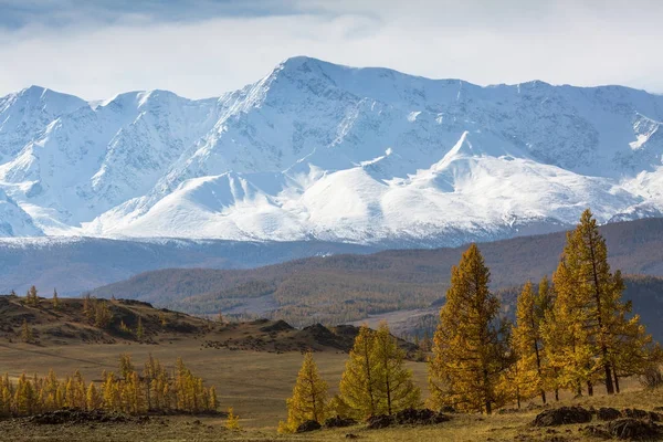 ロシア アルタイ共和国の北チュヤ尾根のパノラマ — ストック写真