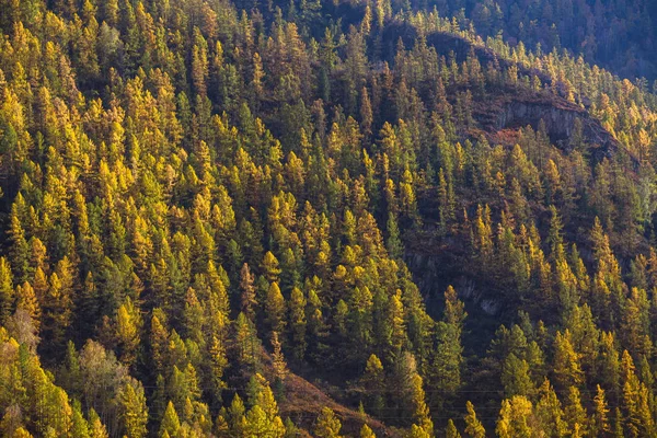 Views of the landscapes of the Mountains in autumn, Altai Republic, Russia. — Stock Image Views Landscapes Mountains Autumn Altai Republic Russia Stock Photo