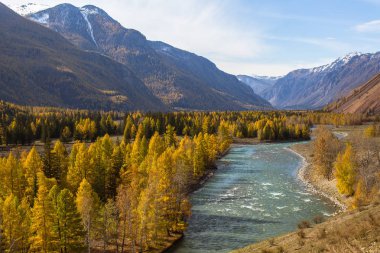 Görünümünde atun Nehri'nin sonbahar Altay Cumhuriyeti, Rusya Federasyonu.