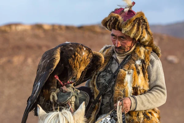 彼の腕で砂漠山の西モンゴルの黄金のワシを保持しているうさぎに狩猟中の Sagsay モンゴル Sep 2017 イーグル ハンター — ストック写真