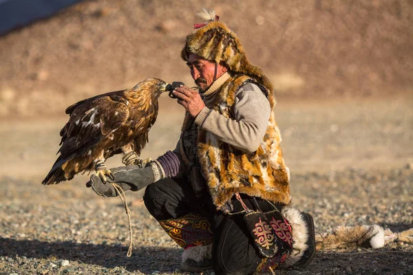 Sagsay Mongolia Sep 2017 Eagle Hunter While Hunting Hare Holding — Stock Photo, Image