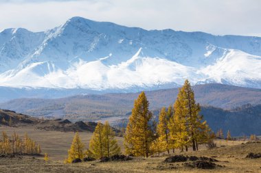 Görünüm dağın kuzey-Chuya ridge Altay Cumhuriyeti, Rusya Federasyonu.