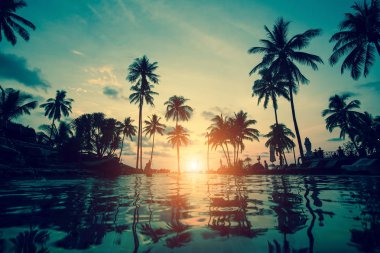 Palm siluetleri tropikal sahilinde sırasında muhteşem bir günbatımı ağaçlar..