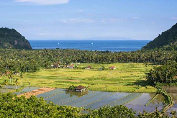 인도네시아에 필드와 계곡의 파노라마 — 스톡 사진
