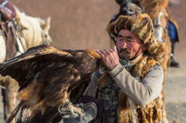 Sagsay, Moğolistan - 28 Eylül 2017: Altın Kartal avcı ise bir Altın Kartallar kollarını içinde çöl Dağ Batı Moğolistan üzerinde tutarak tavşan için avcılık.