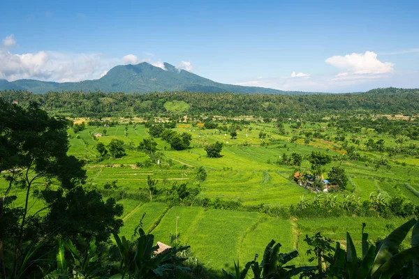 Valley with rice fields on Bali island, Indonesia.