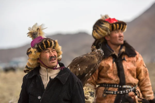 Olgiy 2017年9月30日 老鹰猎人在传统衣裳 与一只金黄老鹰在他的胳膊在每年全国竞争期间与猎物 Berkutchi 的西部蒙古 — 图库照片