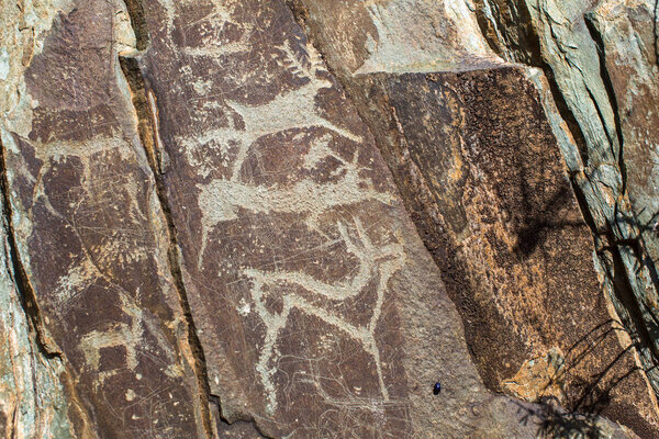 Древние наскальные рисунки, петроглифы в горах Алтая, Россия
.