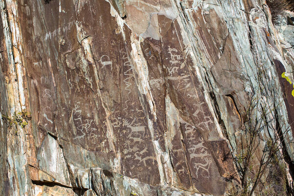 Древние наскальные рисунки, петроглифы в горах Алтая, Россия
.