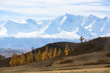 Görünüm karlı dağın kuzey-Chuya ridge Altay Cumhuriyeti, Rusya Federasyonu.