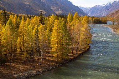 View of the Katun river at autumn, Altai Republic, Russia. clipart
