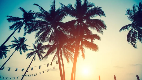 Silhouettes Palmiers Contre Ciel Sur Plage Mer Lors Coucher Soleil — Photo