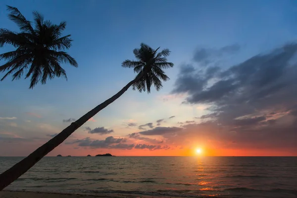 棕榈树剪影在热带海海滩在惊人的日落期间 — 图库照片