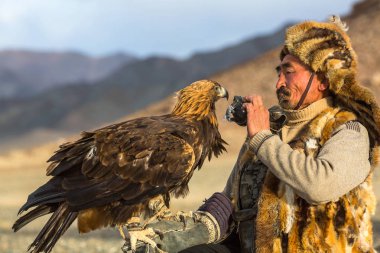 Sagsay, Moğolistan - 28 Eylül 2017: Berkutchi (Kartal Hunter) ise bir Altın Kartallar ile tavşan Bayan-Olgii Aymağı dağlarında kolları üzerinde avcılık. 