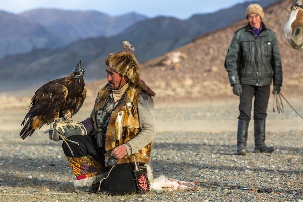Sagsay Монголії Вересня 2017 Berkutchi Орел Мисливець Під Час Полювання — стокове фото
