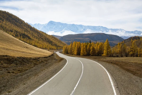 Autostrada Chuya Montagne Altai Russia — Foto Stock