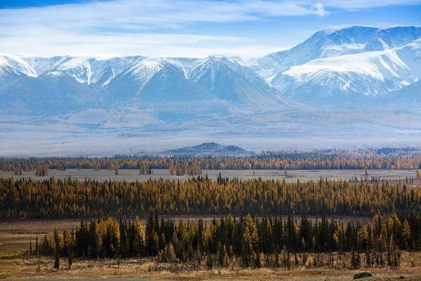 Hegyi Észak Chuya Ridge Altaj Köztársaság Oroszország — Stock Fotó